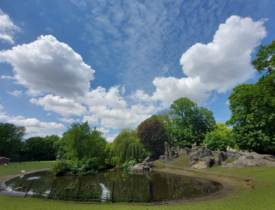 Dierenweide Julianapark Utrecht